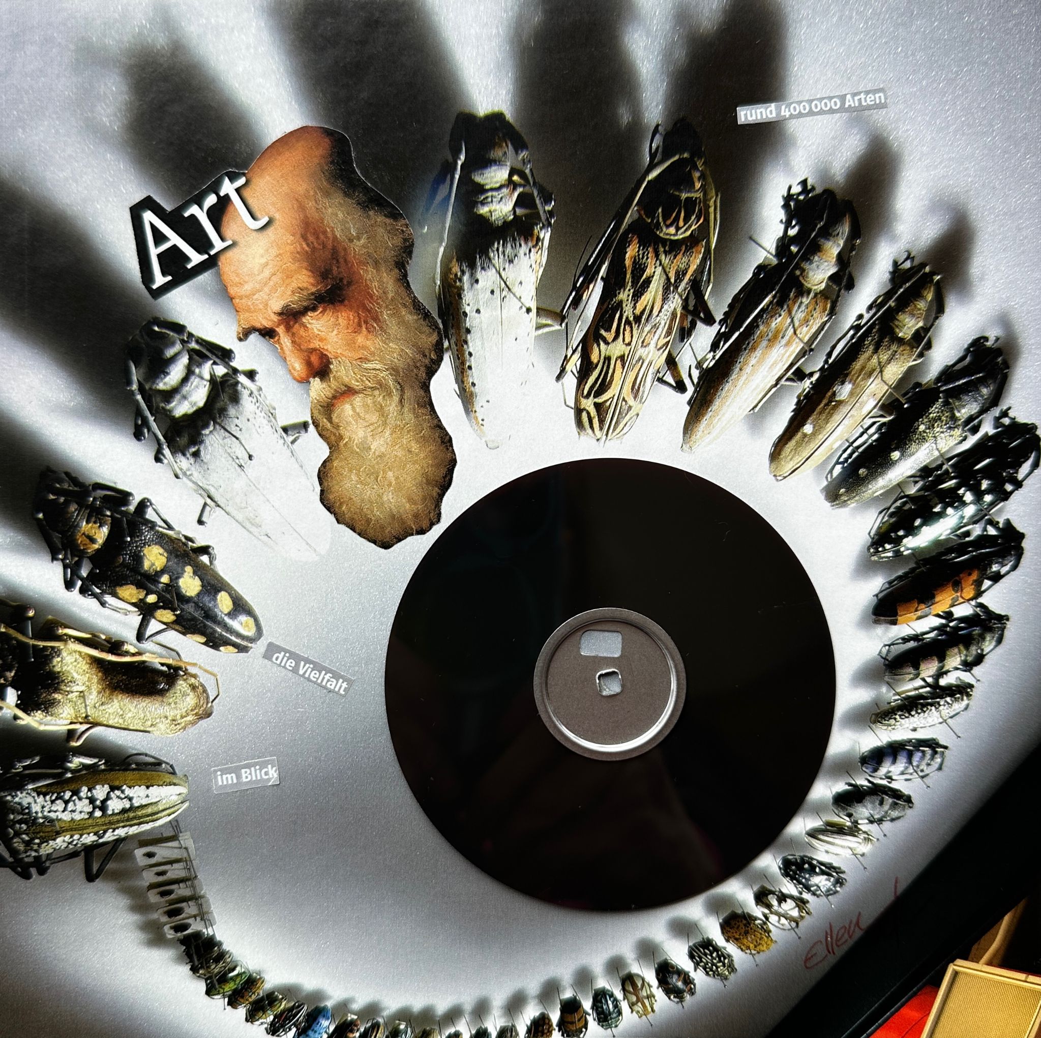 Darwin  Collage 20x20 cm